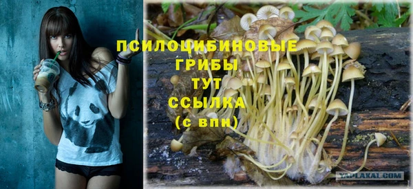 твердый Алзамай