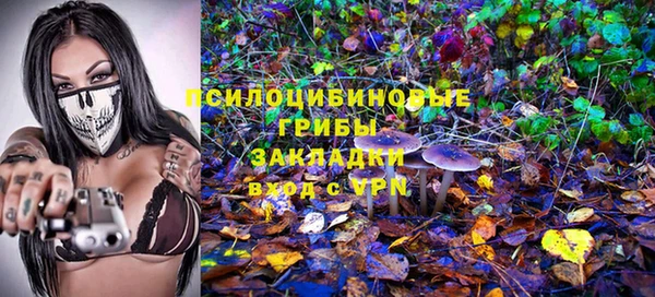 твердый Алзамай