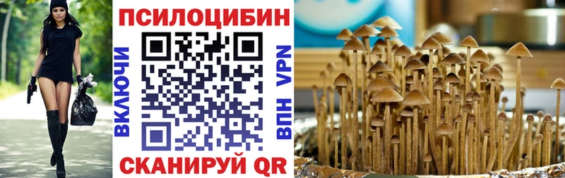 MEGA зеркало  Ейск  Псилоцибиновые грибы Psilocybine cubensis 