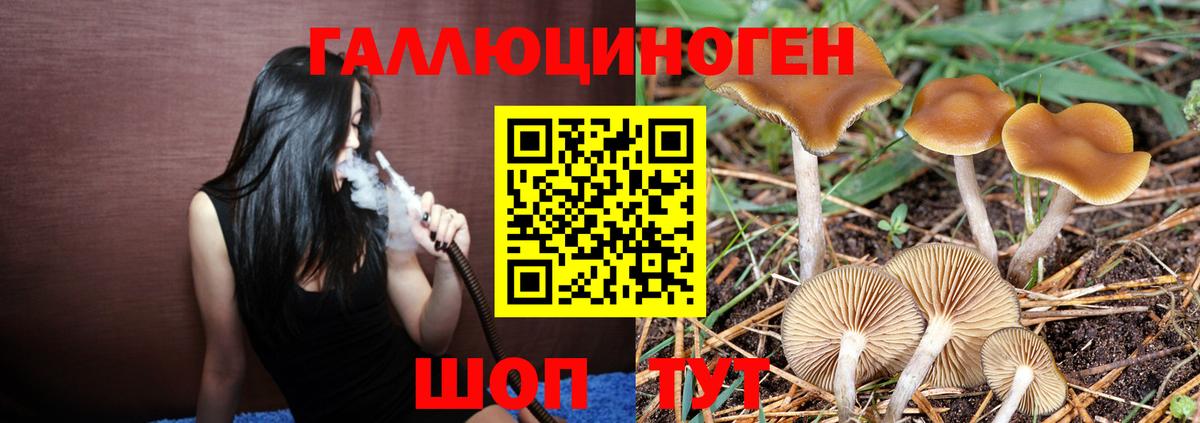 Галлюциногенные грибы MAGIC MUSHROOMS  Псилоцибиновые грибы Psilocybine cubensis  Ейск  где можно купить наркотик  Вход с VPN 